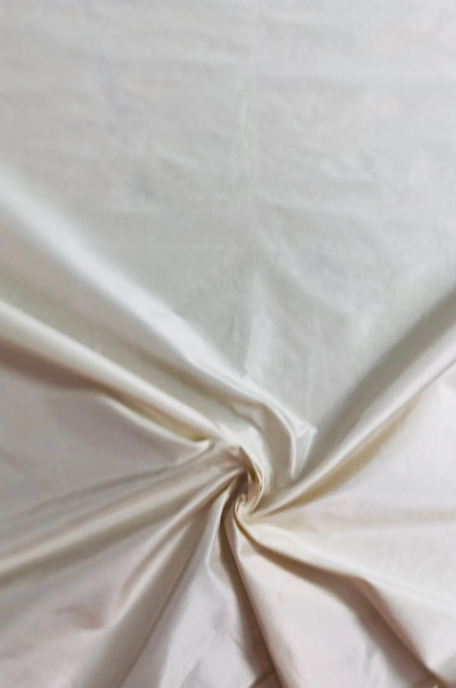 Eggshell Taffeta Silk Fabric